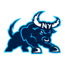 Charging Team logo